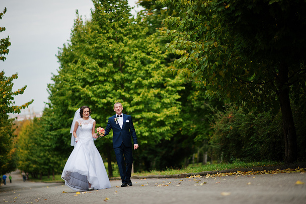 wedding couple walking at green park - Valokuva, kuva