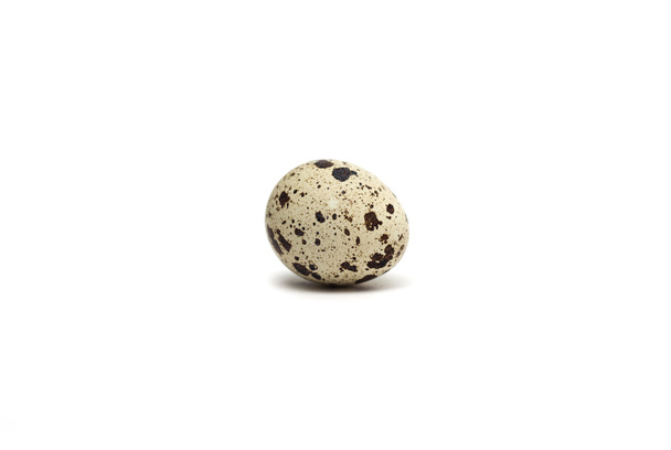 Quail egg. Photo. - Fotoğraf, Görsel