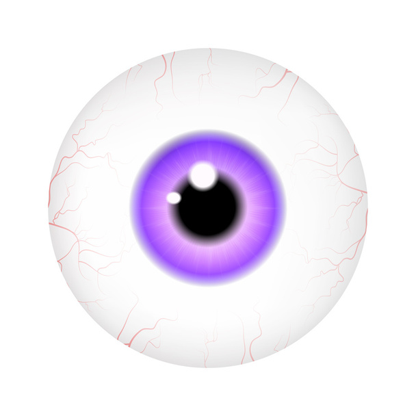 Imagen de ojo humano realista con pupilo colorido, iris. Ilustración vectorial aislada sobre fondo blanco. - Vector, Imagen