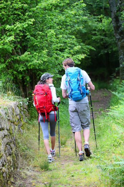 Back view of couple of hikers walking - Fotografie, Obrázek