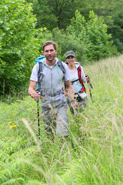 Backpackers on hiking journey - Photo, Image