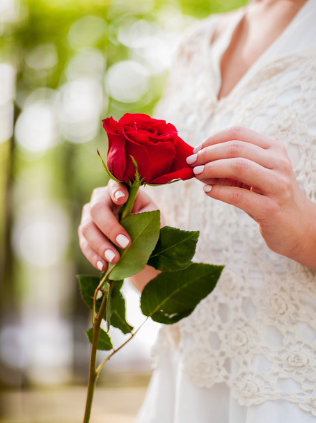 bride hands with red rose - Фото, зображення