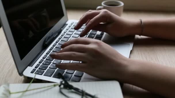 Dizüstü bilgisayarda yazarak kadın parmakları - Video, Çekim