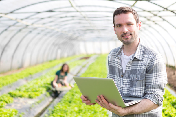 Portrait of an attractive farmer in a greenhouse using laptop - Foto, afbeelding