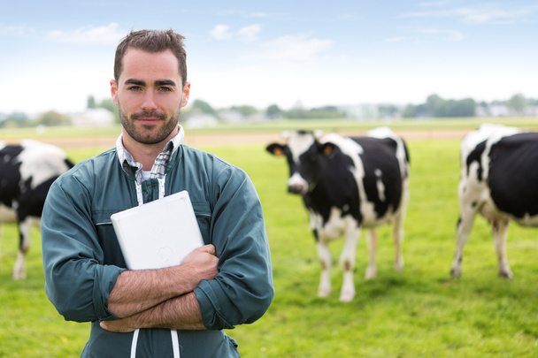牧草地の牛に魅力的な若い農夫の肖像 - 写真・画像