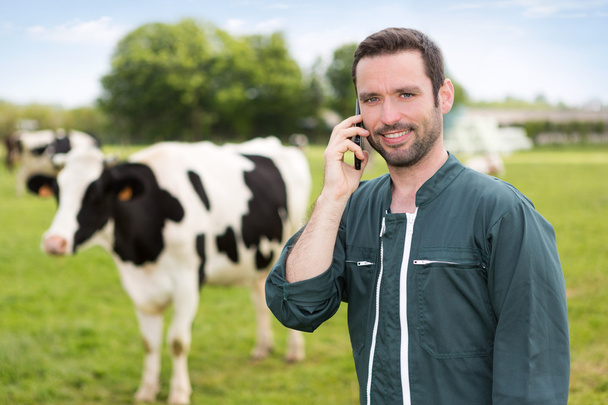 Portrait of a young attractive farmer in a pasture with cows - 写真・画像