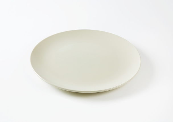 Ρηχό στρογγυλό οστέινο λευκό πιάτο - Φωτογραφία, εικόνα