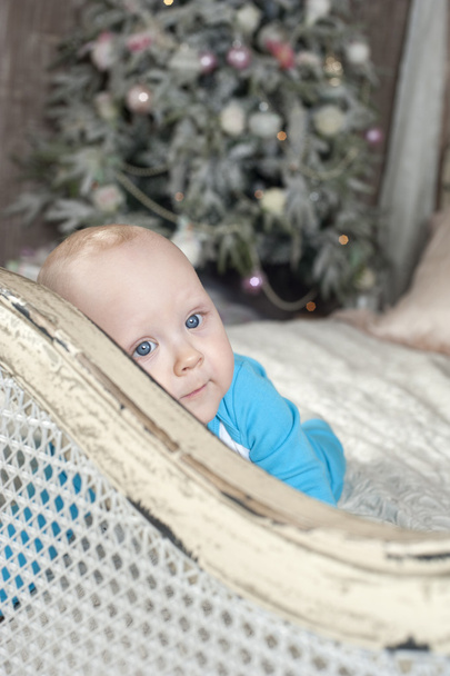 dreaming baby and Christmas tree - Zdjęcie, obraz