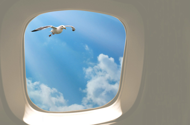Fuori dal finestrino dell'aereo
 - Foto, immagini