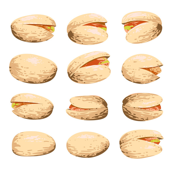 Pistachio fruit set isolated on white - ベクター画像