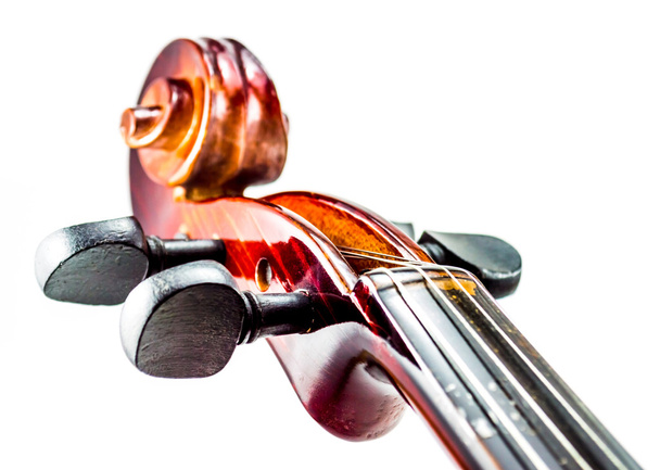 Violine κεφάλι, βιολί κύλισης σε κοντινό πλάνο - Φωτογραφία, εικόνα
