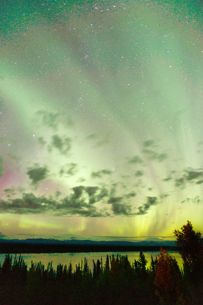Willow Lake Northern Lights Aurora Borealis Alaska Night Sky - Fotoğraf, Görsel