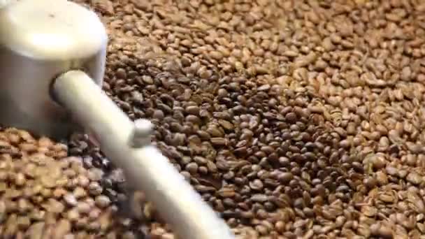 Kávová zrna v pražírna kávy - Záběry, video