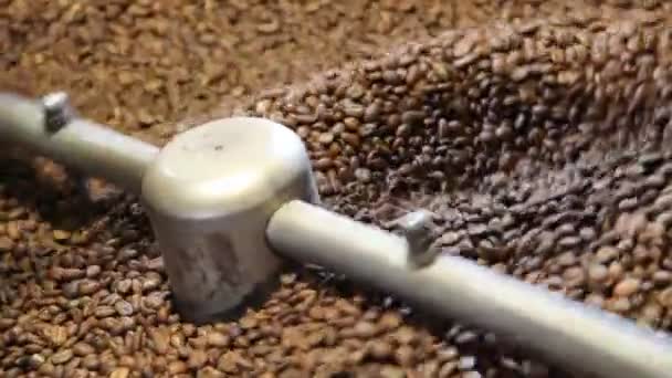 Coffee beans in a coffee roaster - Footage, Video