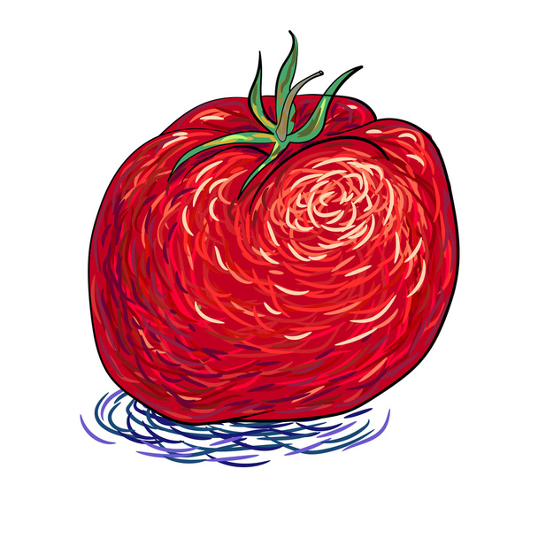 bonito tomate vermelho vegetal arte vetor abstrato
 - Vetor, Imagem