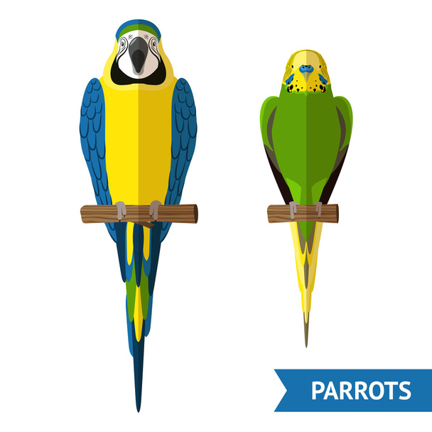 Sitting Parrots Set - Vector, Image