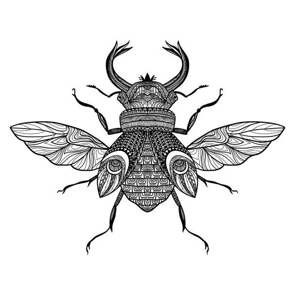 Sketch Decorative Bug - Vector, Image