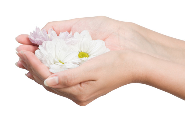 Female hands with flower - 写真・画像