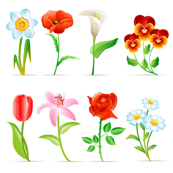 Flower set - Vector, Image