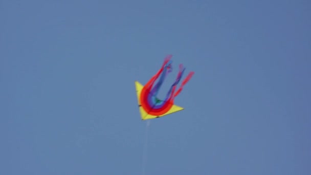 One multi color kite flying - Footage, Video