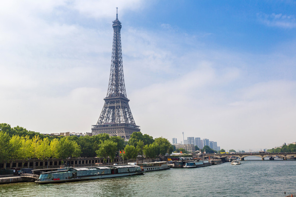 Seine in Paris and Eiffel tower - Photo, Image