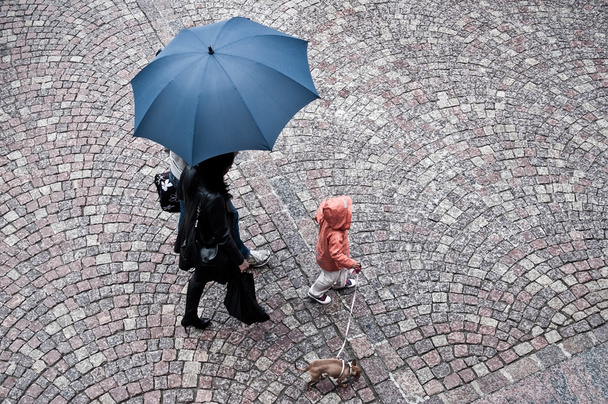 women with umbrella in the rain - Fotó, kép