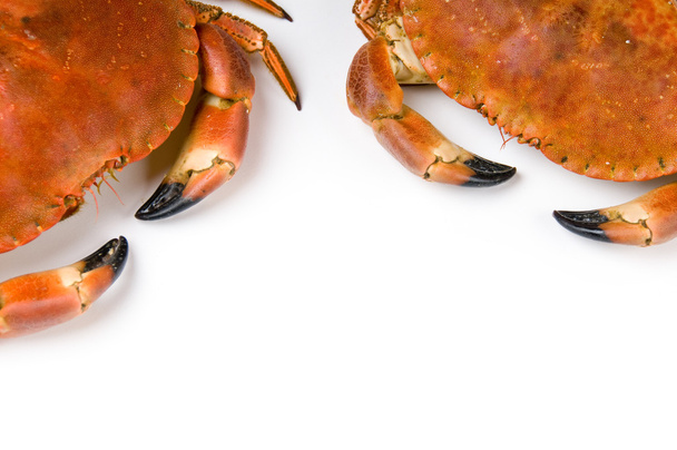 Prepared crab - Fotoğraf, Görsel