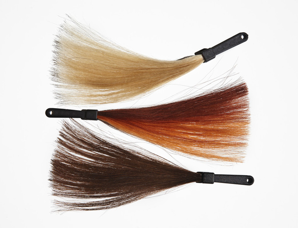 échantillons de cheveux de couleurs dégradées
 - Photo, image