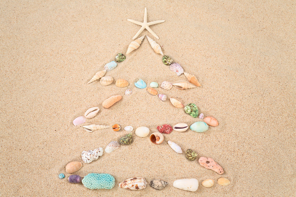 Beach Xmas concept on sand as a Christmas tree with shells - Photo, Image