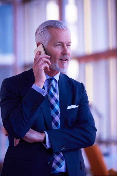 senior business man talking on mobile phone - Foto, immagini