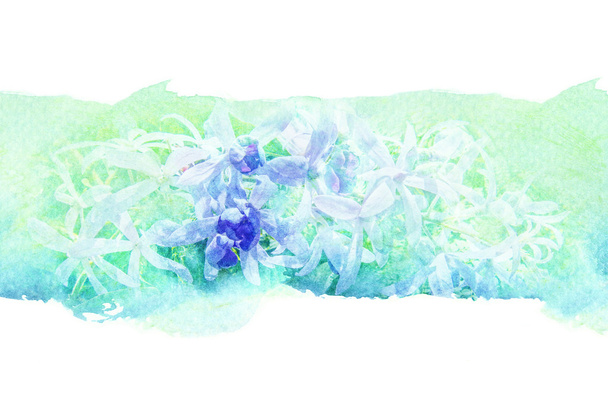 квітка аквареллю ілюстрація
. - Фото, зображення