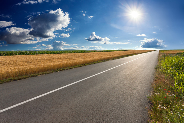 güneşli bir gün bir boş asfalt yolda sürüş - Fotoğraf, Görsel
