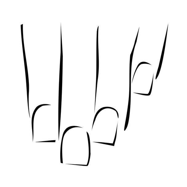 Graficzny wyświetlone paznokci lub manicure - Wektor, obraz