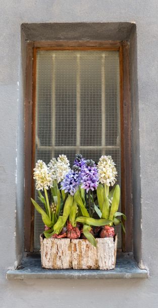 Bar ve çiçekler ile eski pencere - Fotoğraf, Görsel