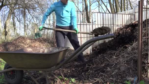 フォークを持つ農夫男は、手押し車に堆肥の腐植を掘る。4 k - 映像、動画