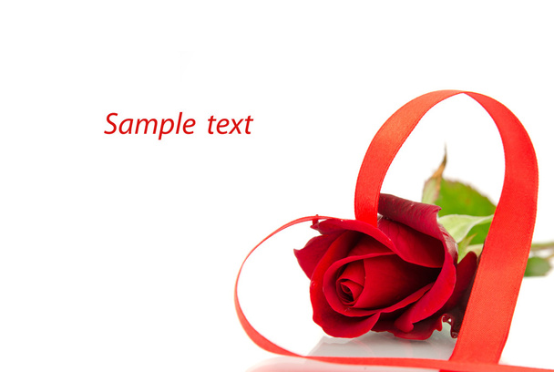 Red rose on the white background - Foto, imagen