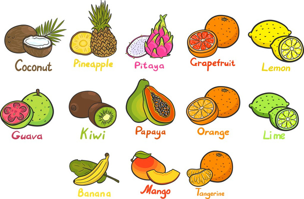 fruits tropicaux. Ananas, banane, citron, citron vert, orange, pamplemousse, noix de coco, papaye, kiwi, pitahaya, mangue, goyave, mandarine
. - Vecteur, image