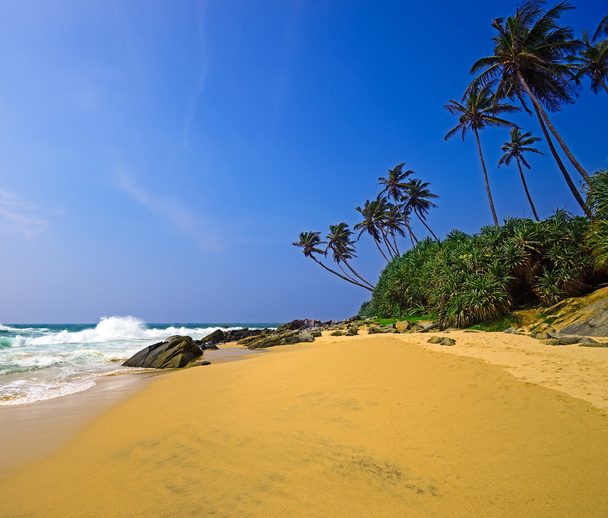 Ocean wybrzeża Sri Lanki - Zdjęcie, obraz