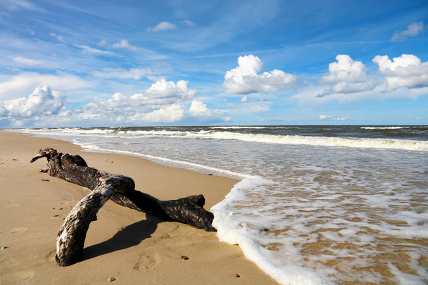 Sea landscape, Baltic Sea - Photo, Image