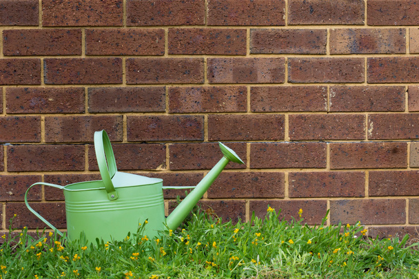 Un arrosoir vert dehors dans un jardin
 - Photo, image