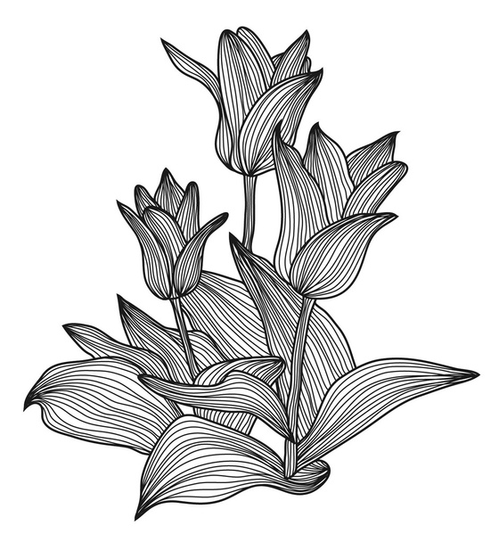 Decorative floral element - Vector, Image