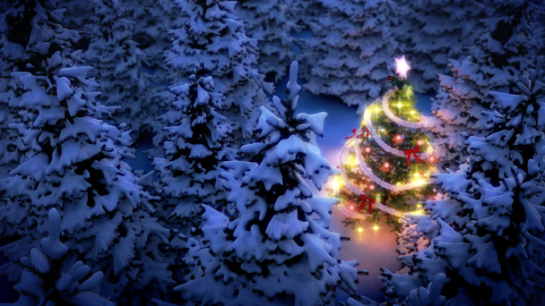 Aufgehellter Weihnachtsbaum im Kiefernwald - Foto, Bild