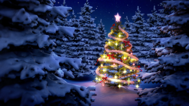 sapin de Noël éclairé dans les bois de pins
 - Photo, image