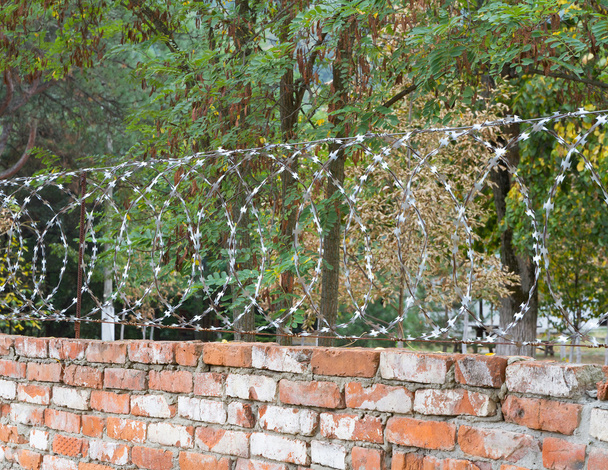 Old brick wall with barbed wire - Photo, Image