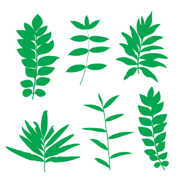 leaf - Vektor, obrázek