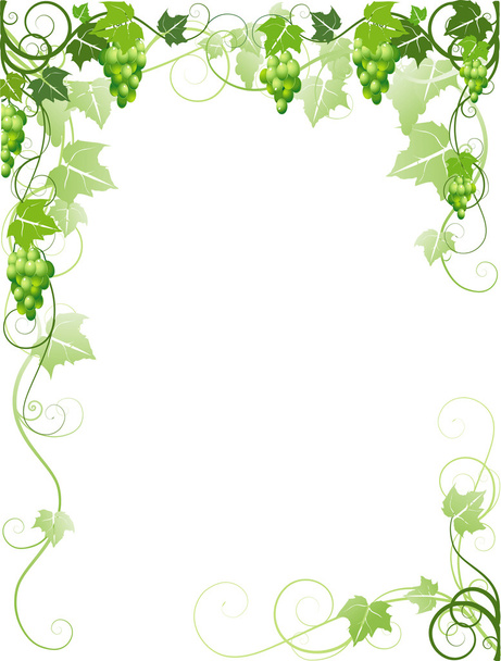 Grapes frame - Vector, Image