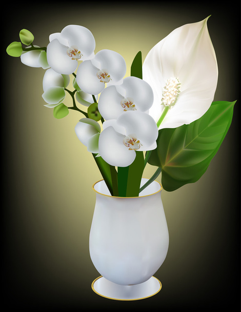 orquídeas brancas em vaso
 - Vetor, Imagem