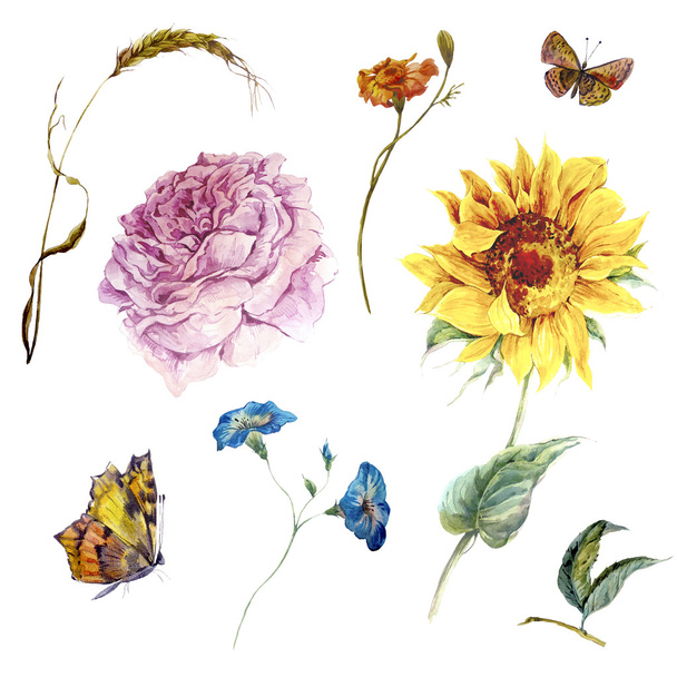 Set di foglie e boccioli di fiori d'acquerello vintage
 - Foto, immagini