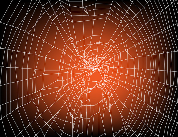 spinnenweb op zonsondergang achtergrond - Vector, afbeelding