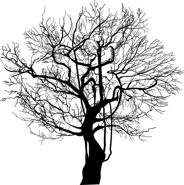 siyah çıplak ağaca - Vektör, Görsel